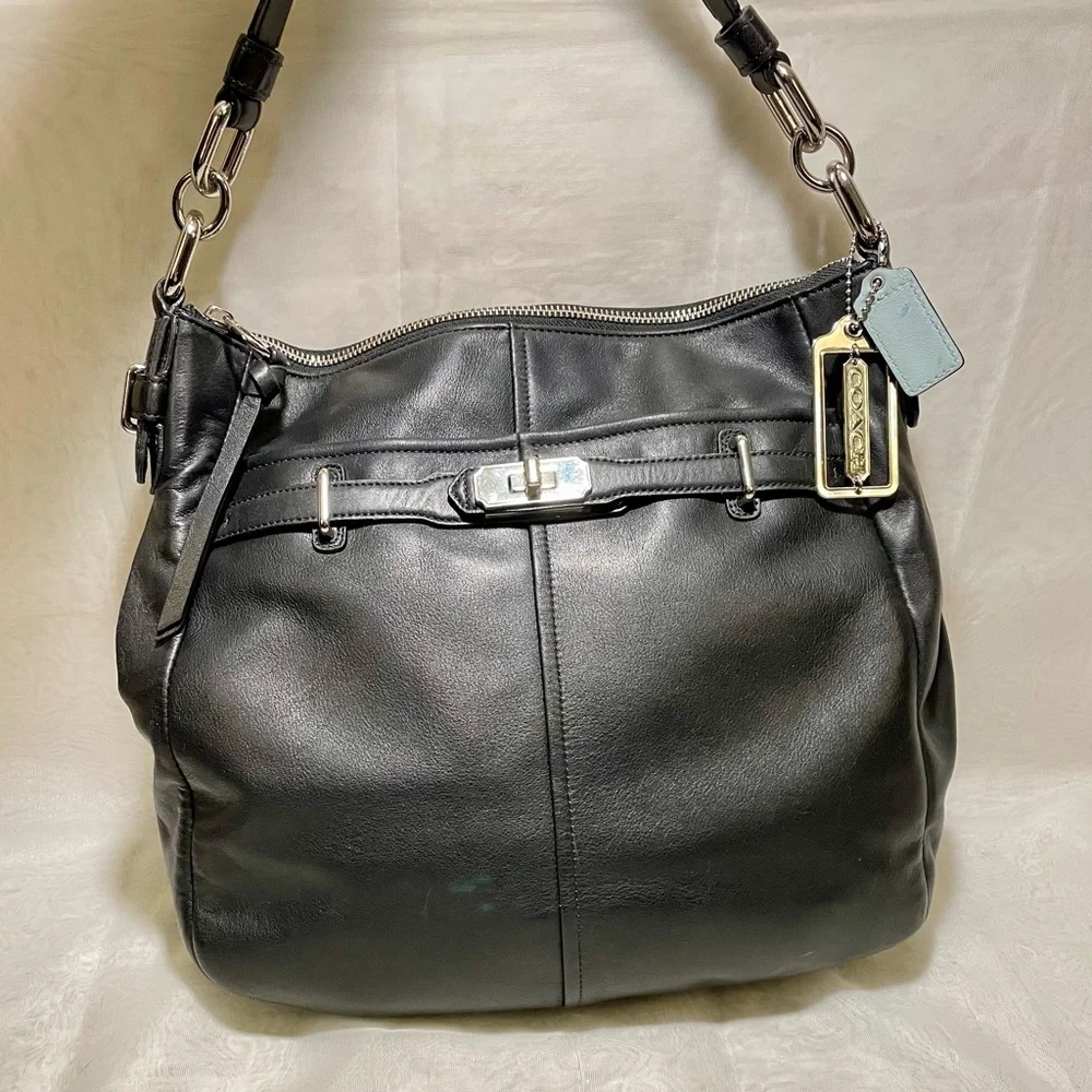 Coach Ashlyn Chelsea Hobo Shoulderr Bag (Model 17816) - Picture 2 of 15